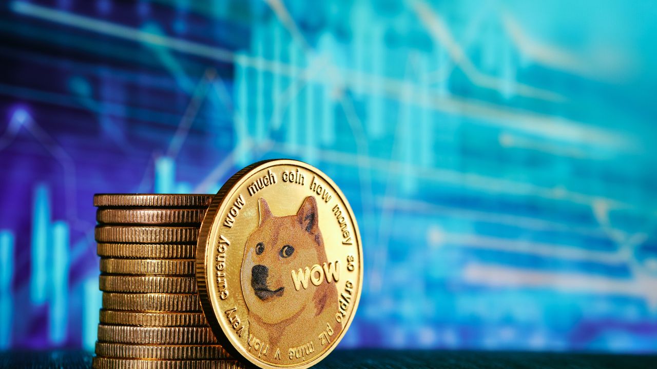 How Are Canadians Able to Invest in Dogecoin With Bitget?