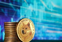 How Are Canadians Able to Invest in Dogecoin With Bitget?