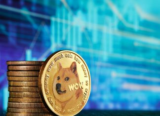 How Are Canadians Able to Invest in Dogecoin With Bitget?